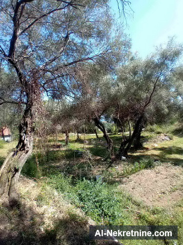 Herceg Novi, građevinski placevi na 1.7 km od centra